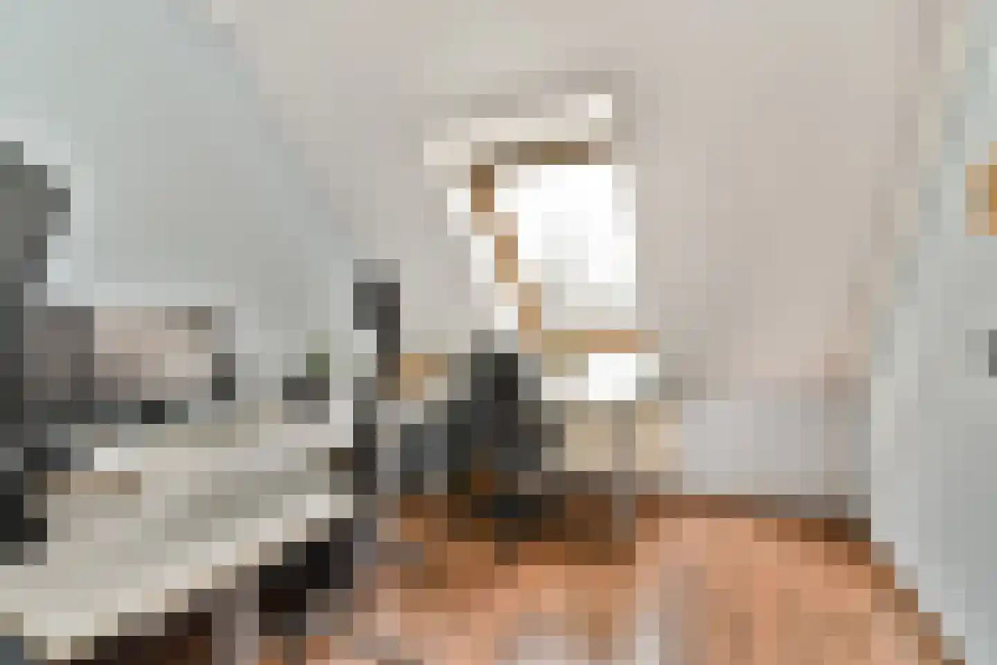 Jan van Goijenlaan 8 Hendrik-Ido-Ambacht thumbnail 18