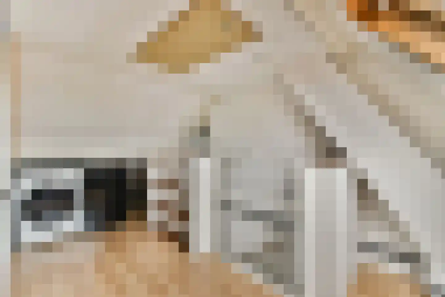 Jan van Goijenlaan 8 Hendrik-Ido-Ambacht thumbnail 20