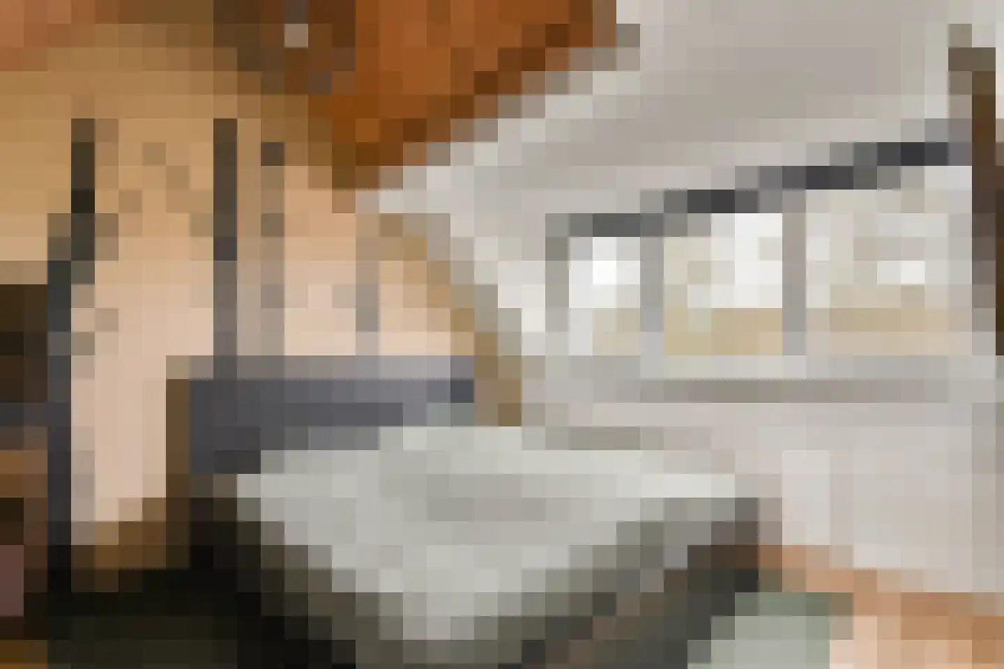Jan van Goijenlaan 8 Hendrik-Ido-Ambacht thumbnail 22