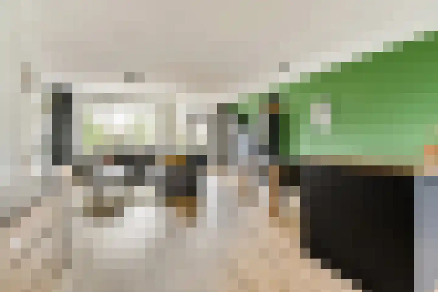 Jan van Goijenlaan 8 Hendrik-Ido-Ambacht thumbnail 4