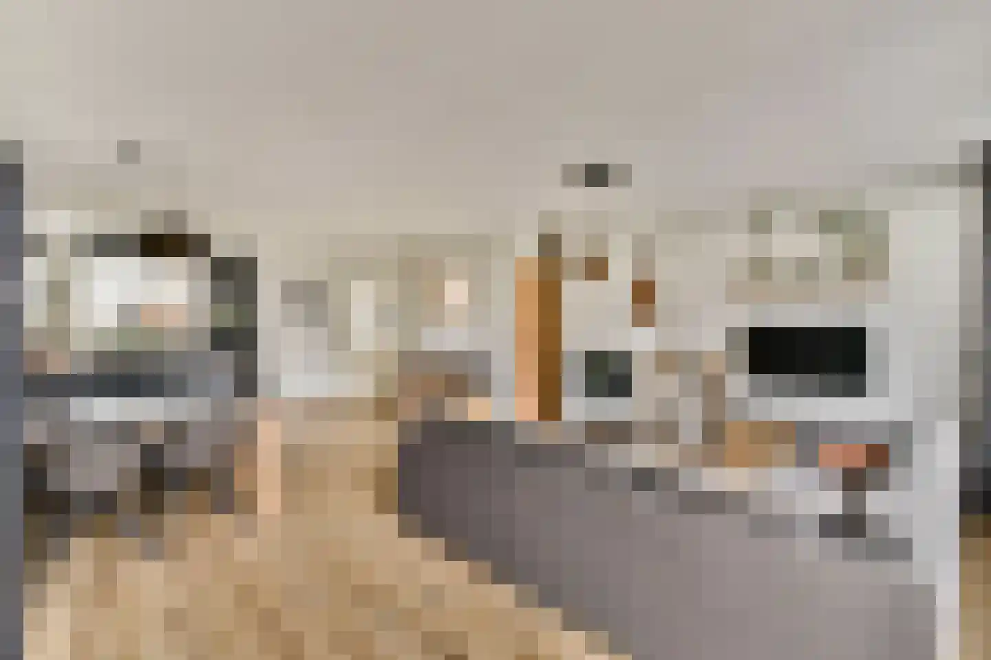 Jan van Goijenlaan 8 Hendrik-Ido-Ambacht thumbnail 5