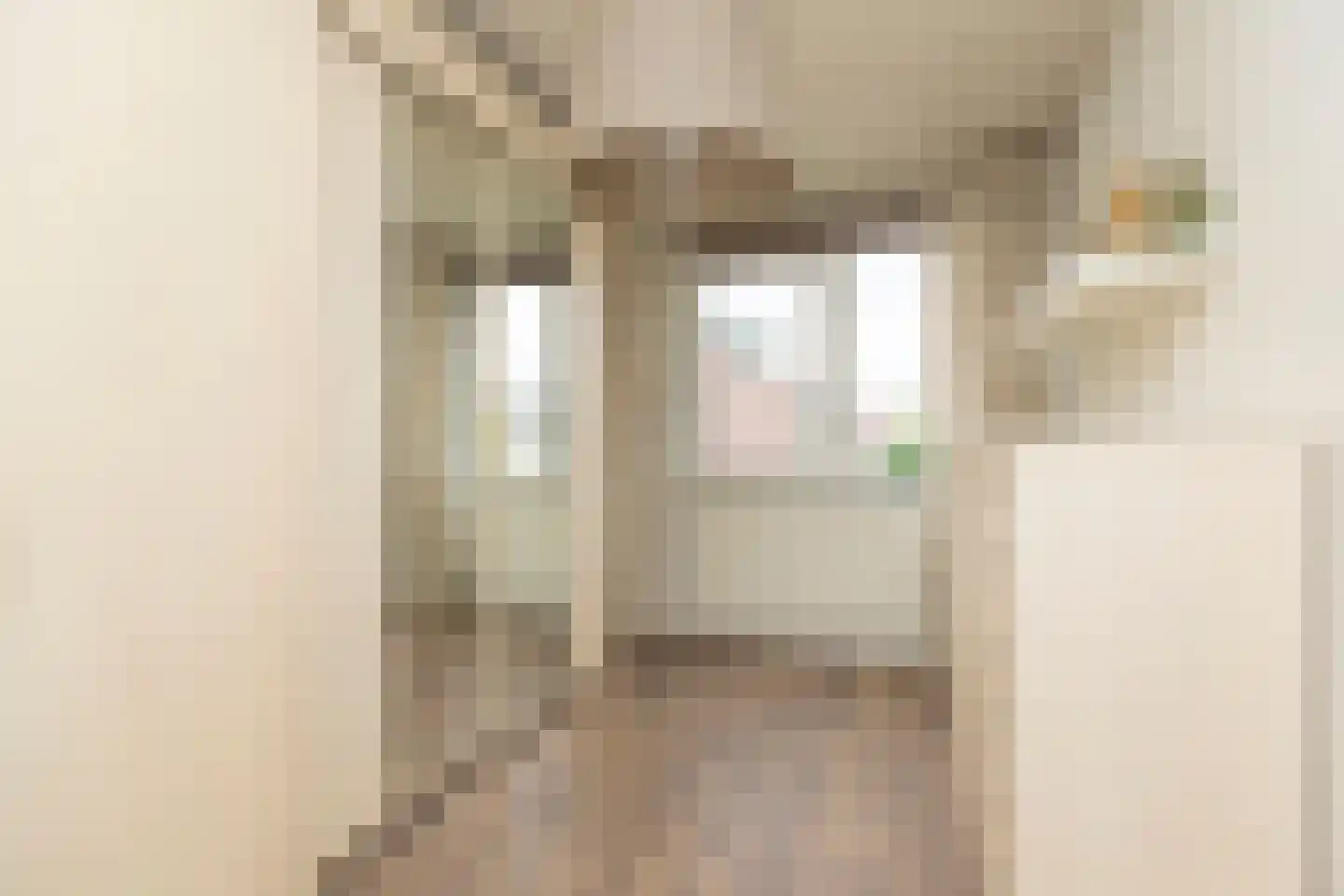 Jan van Goijenstraat 34 Papendrecht thumbnail 24