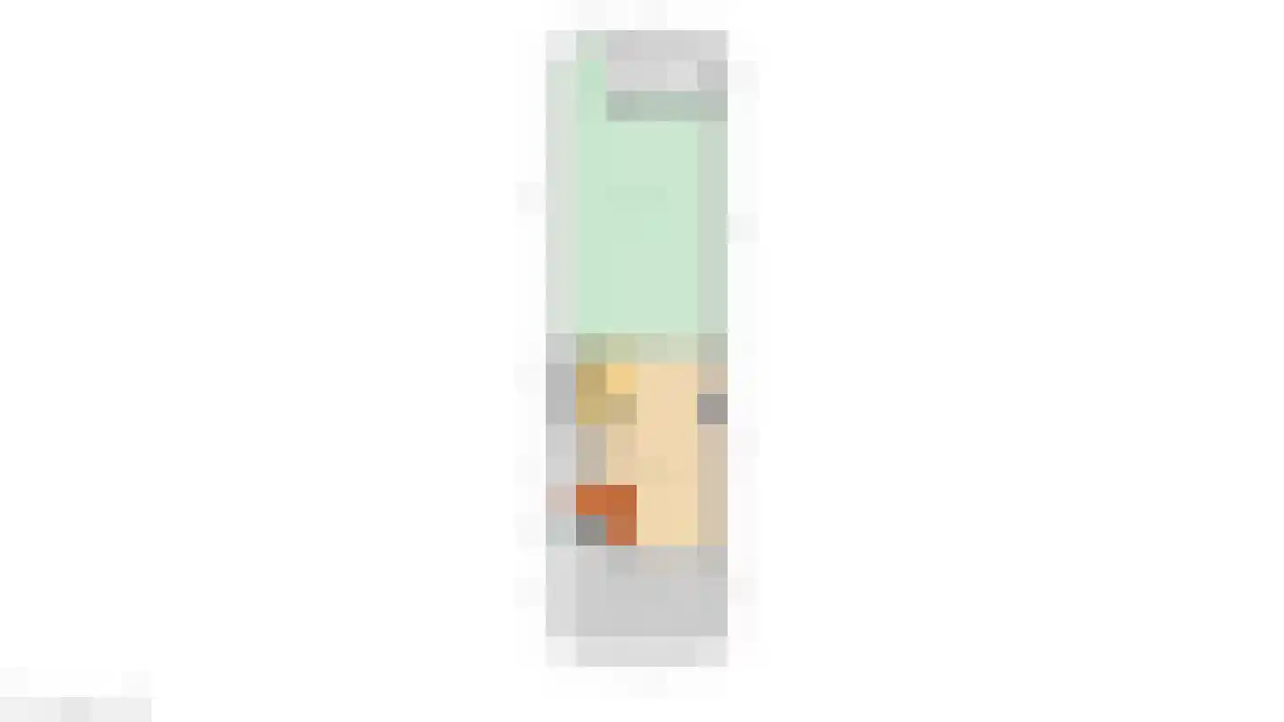 Jan van Goijenstraat 34 Papendrecht thumbnail 42