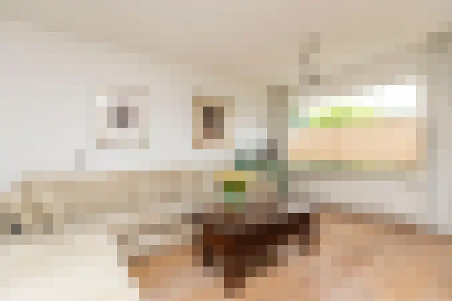 Jan van Goijenstraat 34 Papendrecht thumbnail 9