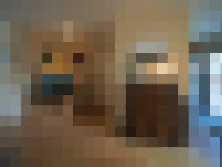 Jan van Goijenstraat 55 Papendrecht thumbnail 11