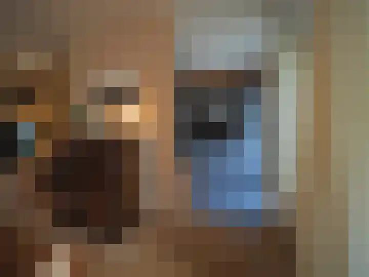 Jan van Goijenstraat 55 Papendrecht thumbnail 15