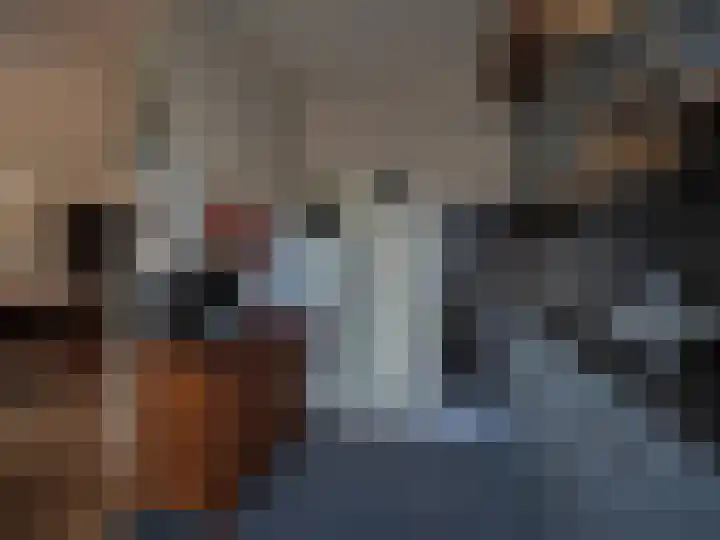 Jan van Goijenstraat 55 Papendrecht thumbnail 17