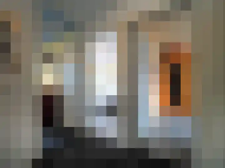 Jan van Goijenstraat 55 Papendrecht thumbnail 20