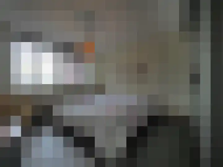 Jan van Goijenstraat 55 Papendrecht thumbnail 21