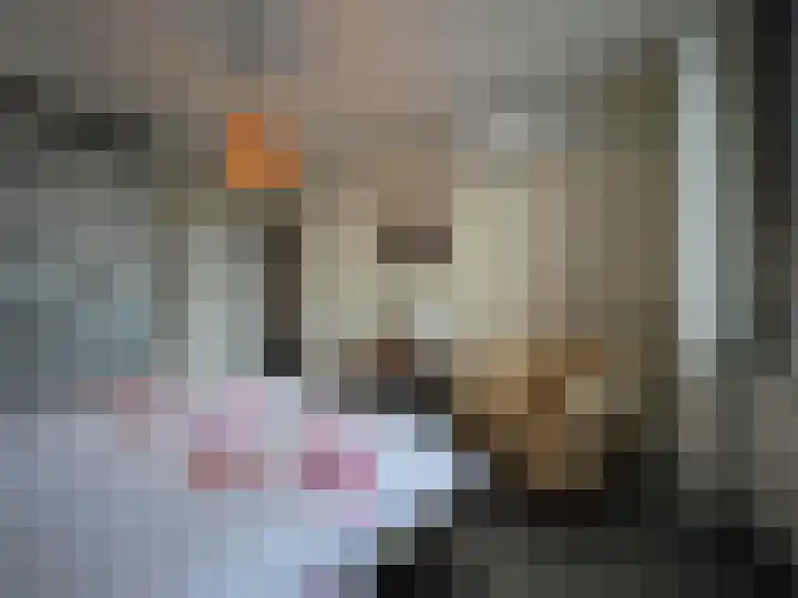 Jan van Goijenstraat 55 Papendrecht thumbnail 22