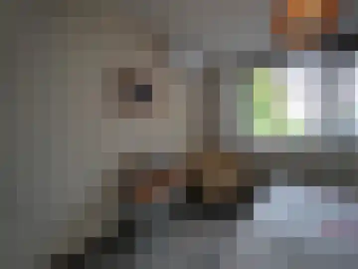 Jan van Goijenstraat 55 Papendrecht thumbnail 24
