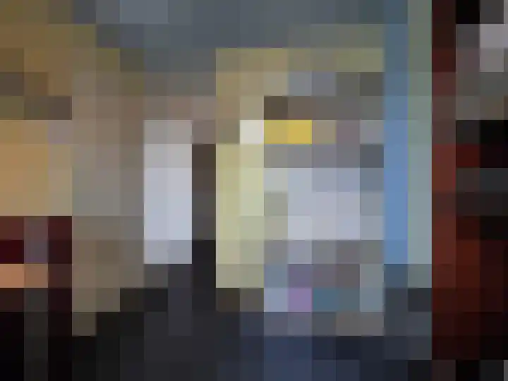 Jan van Goijenstraat 55 Papendrecht thumbnail 25
