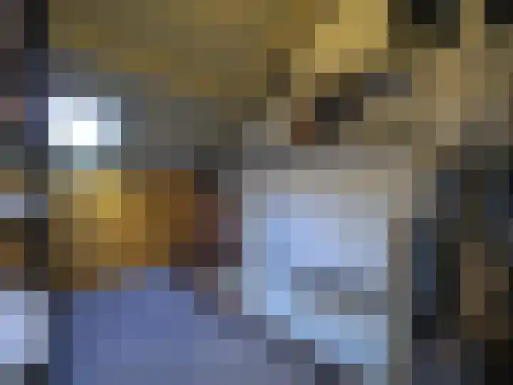 Jan van Goijenstraat 55 Papendrecht thumbnail 31