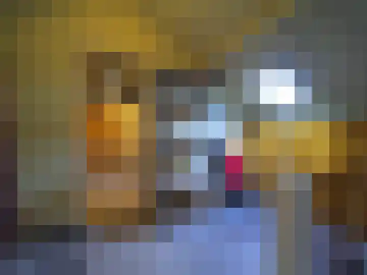 Jan van Goijenstraat 55 Papendrecht thumbnail 32