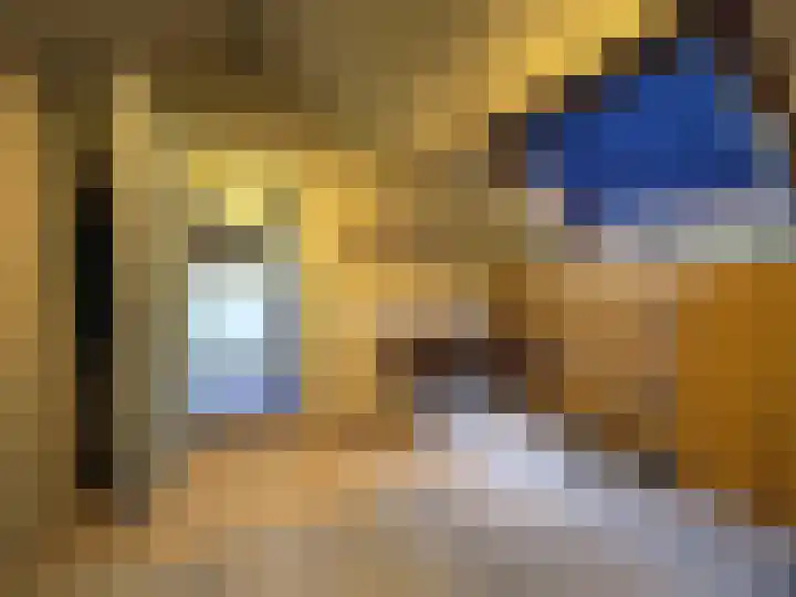 Jan van Goijenstraat 55 Papendrecht thumbnail 33
