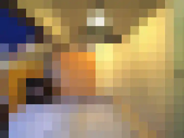 Jan van Goijenstraat 55 Papendrecht thumbnail 34