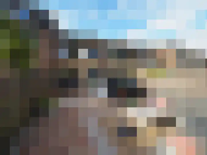 Jan van Goijenstraat 55 Papendrecht thumbnail 35