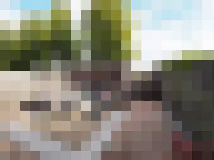 Jan van Goijenstraat 55 Papendrecht thumbnail 36