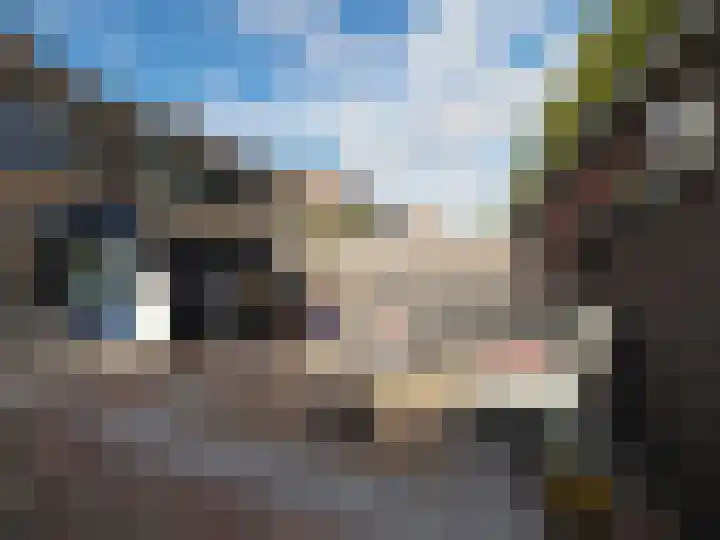 Jan van Goijenstraat 55 Papendrecht thumbnail 37