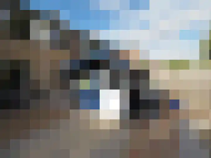 Jan van Goijenstraat 55 Papendrecht thumbnail 39
