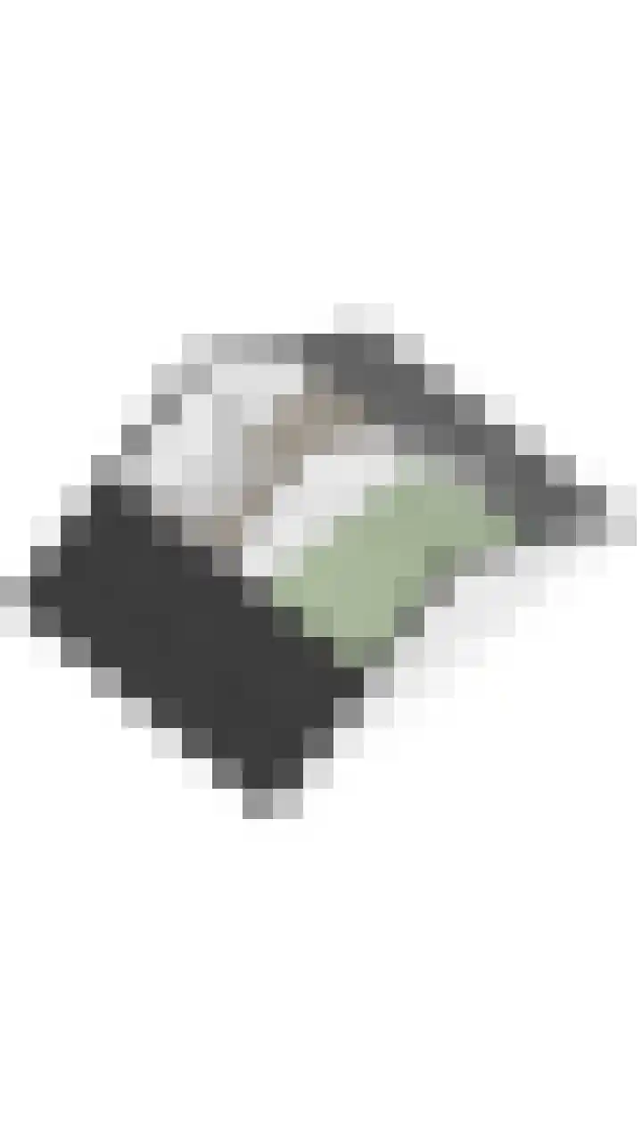 Jan van Goijenstraat 55 Papendrecht thumbnail 50