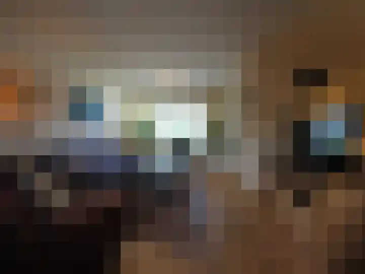 Jan van Goijenstraat 55 Papendrecht thumbnail 7