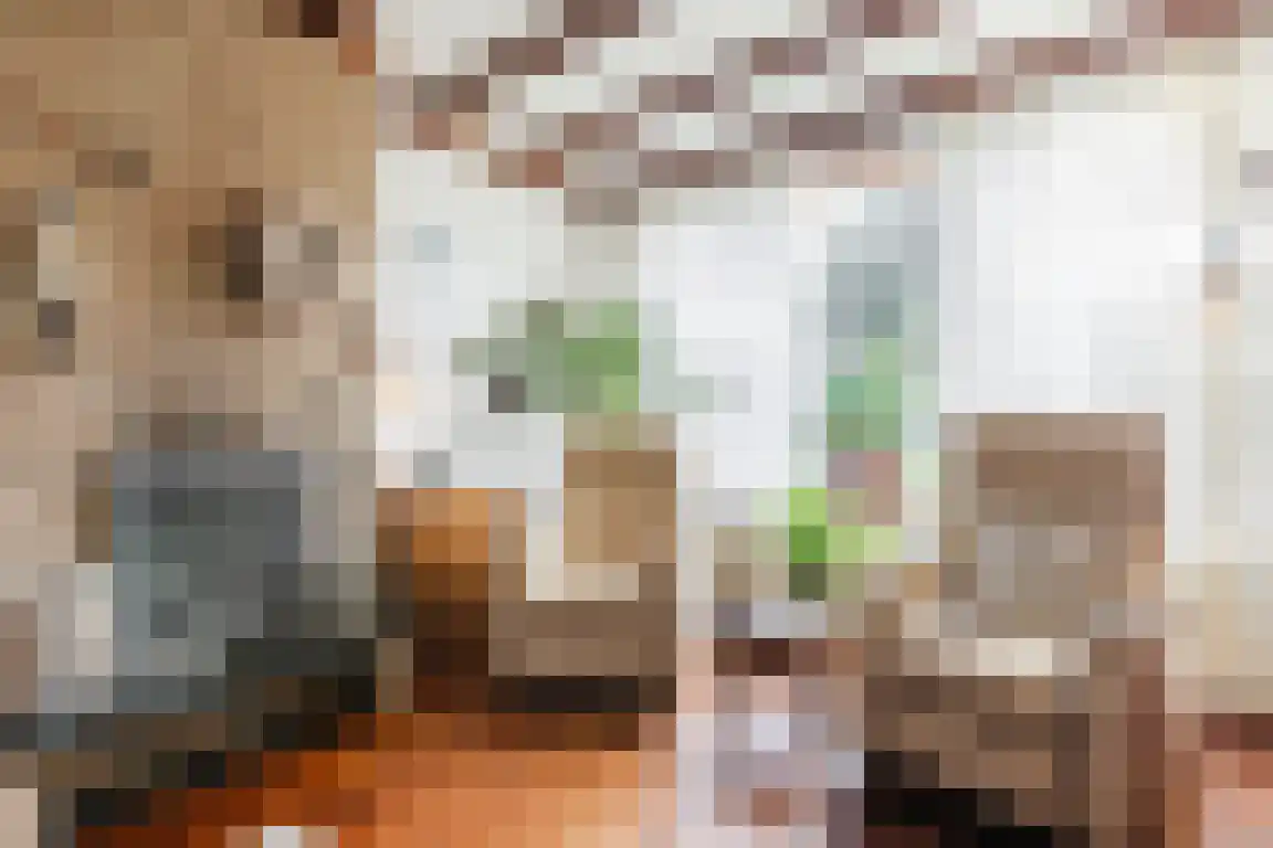 Jan van Goijenstraat 7 Bergen op Zoom thumbnail 14
