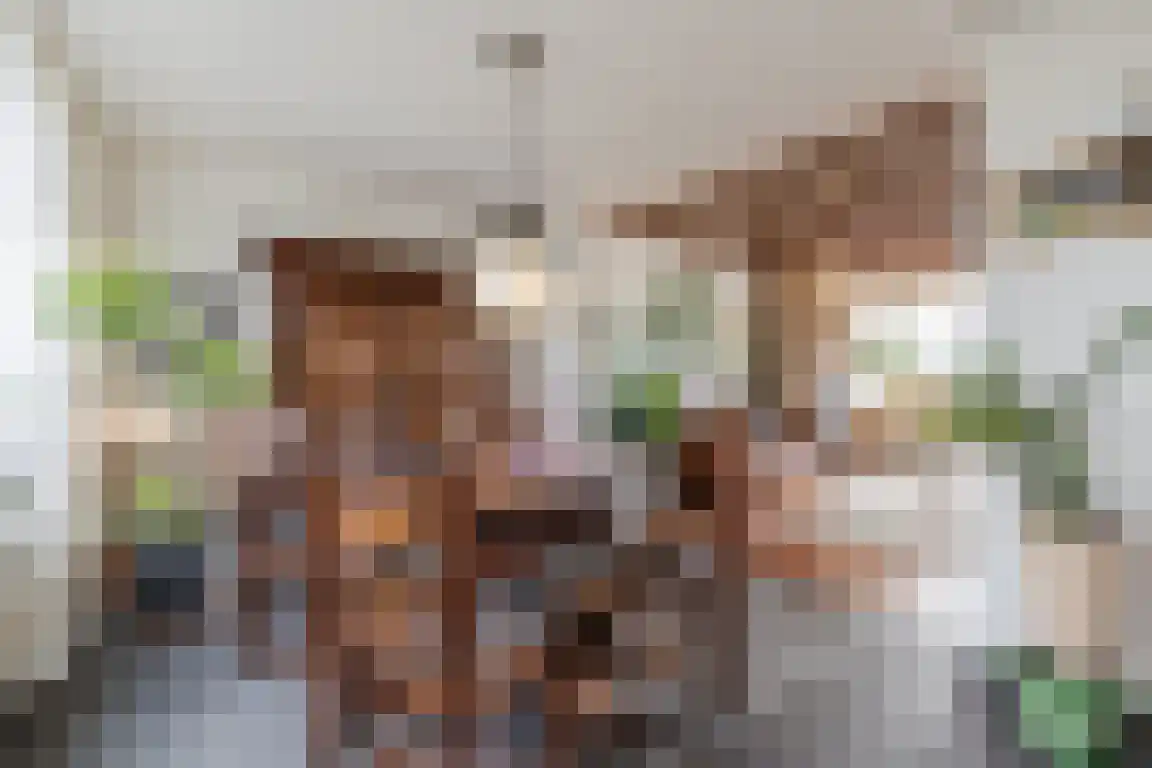 Jan van Goijenstraat 7 Bergen op Zoom thumbnail 15