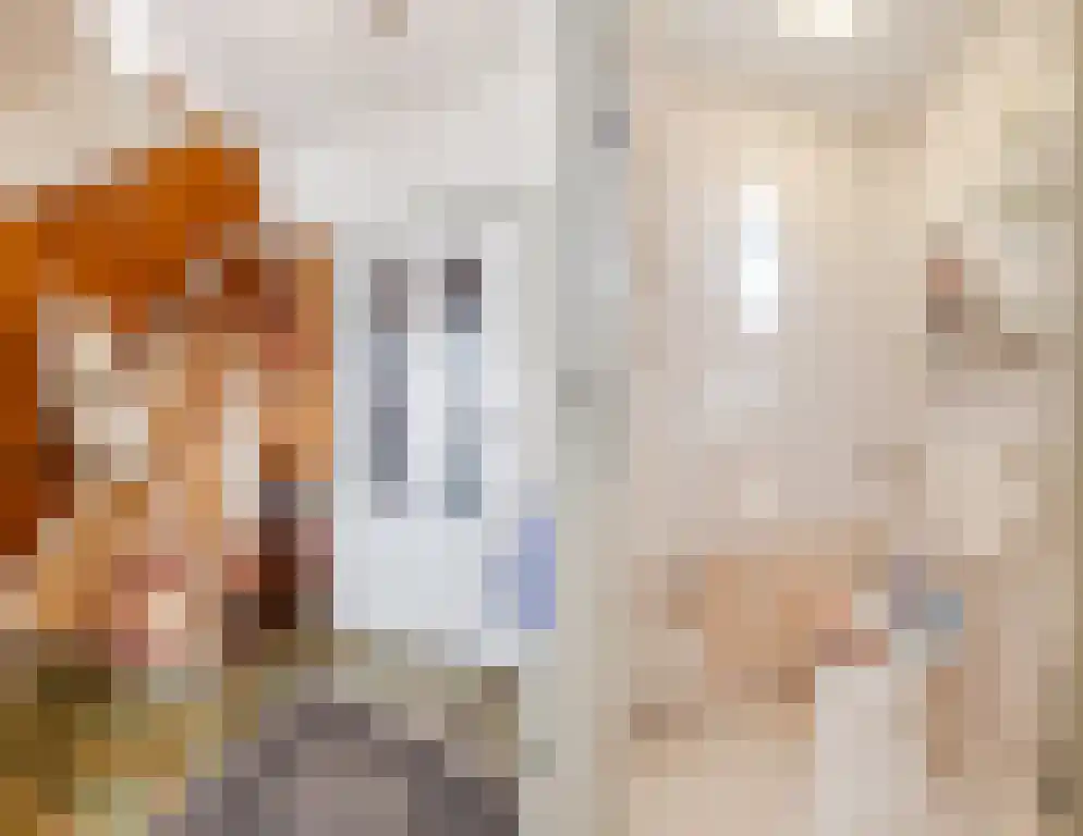 Jan van Goijenstraat 7 Bergen op Zoom thumbnail 20