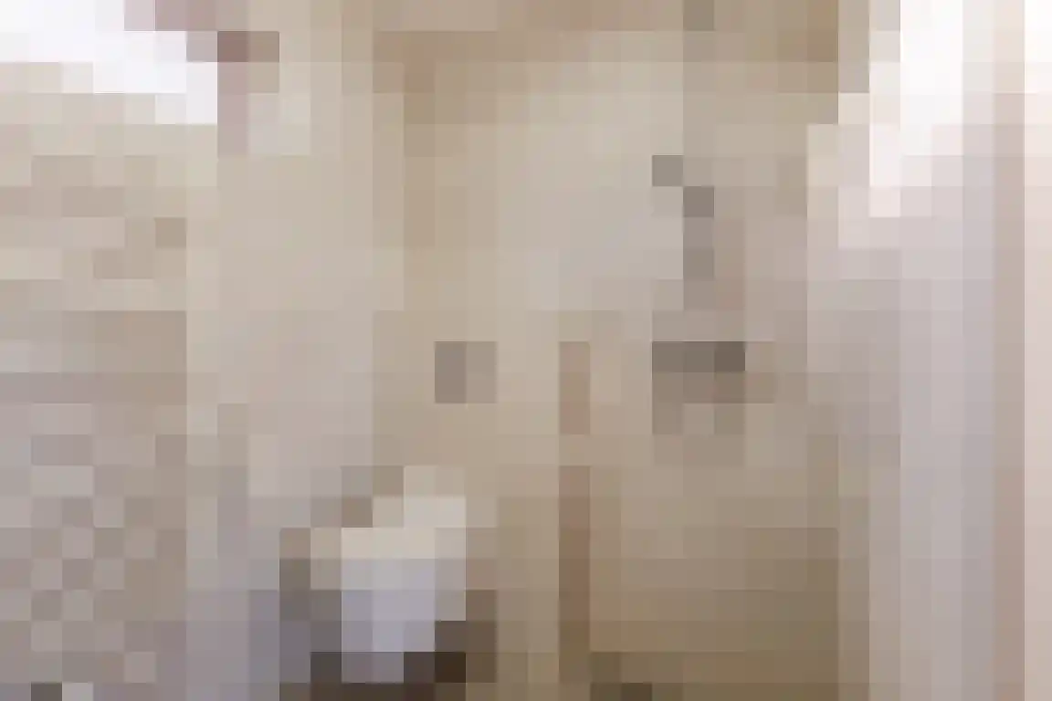 Jan van Goijenstraat 7 Bergen op Zoom thumbnail 27