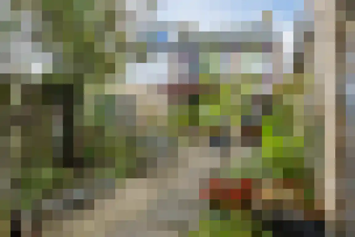 Jan van Goijenstraat 7 Bergen op Zoom foto 3