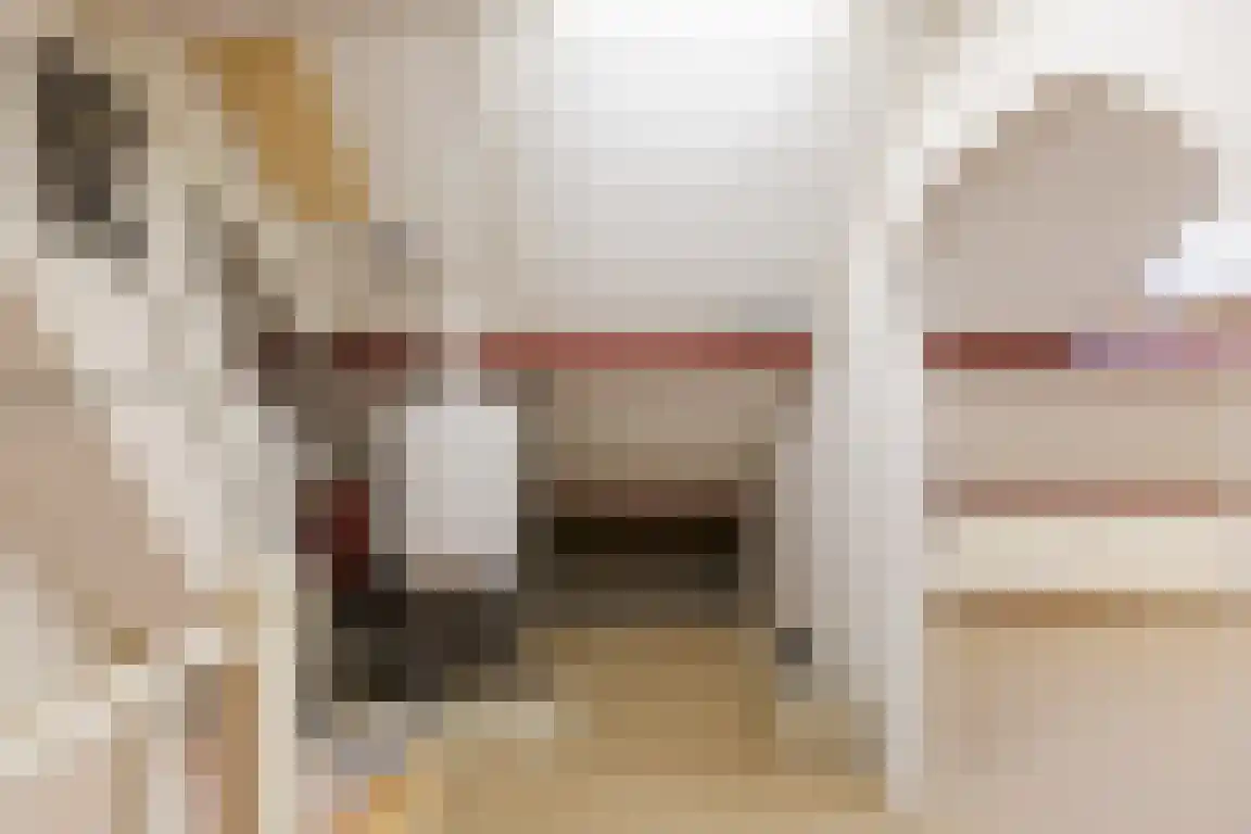 Jan van Goijenstraat 7 Bergen op Zoom thumbnail 31
