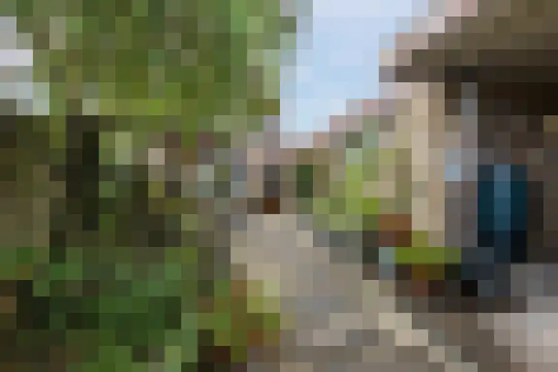 Jan van Goijenstraat 7 Bergen op Zoom thumbnail 33