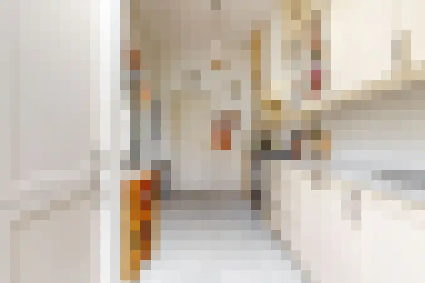 Jan van Goyenkade 14 Leiden thumbnail 17