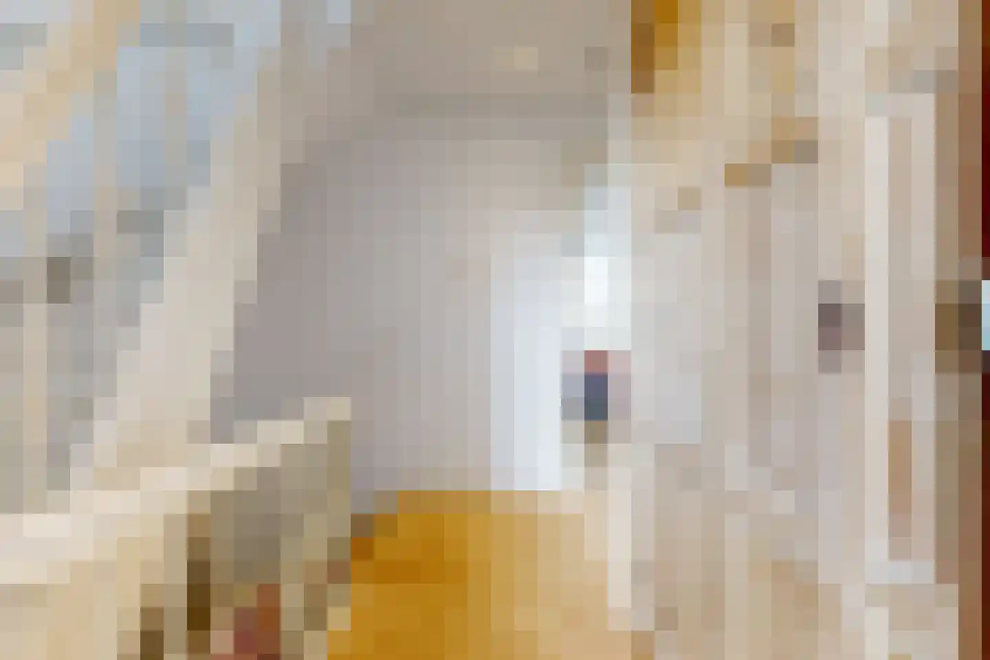 Jan van Goyenkade 14 Leiden thumbnail 25