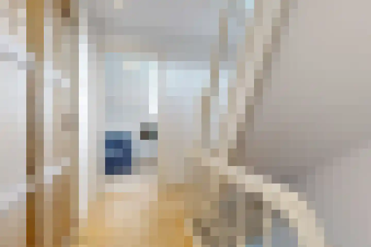 Jan van Goyenkade 14 Leiden thumbnail 26