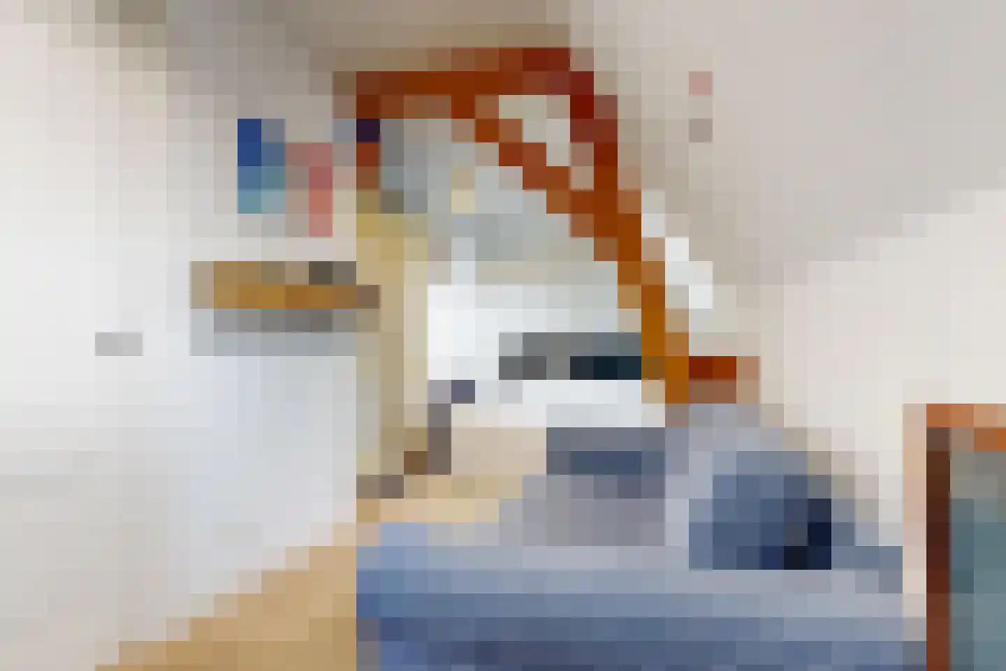 Jan van Goyenkade 14 Leiden thumbnail 27