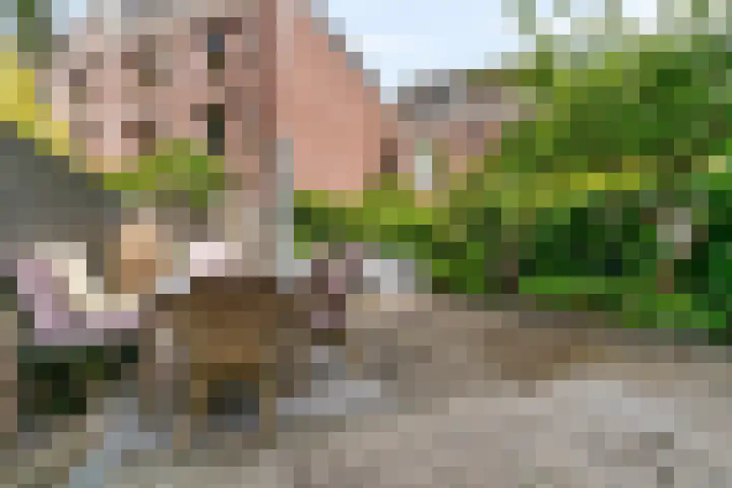 Jan van Goyenkade 14 Leiden thumbnail 42