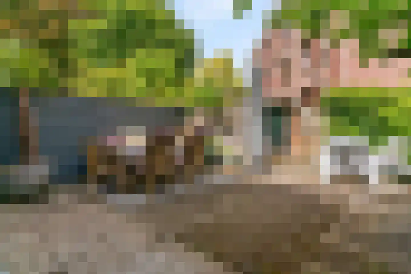 Jan van Goyenkade 14 Leiden thumbnail 44