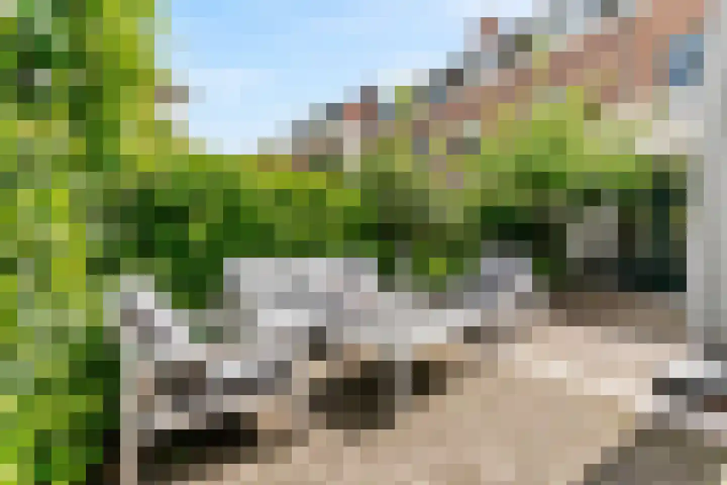 Jan van Goyenkade 14 Leiden thumbnail 46