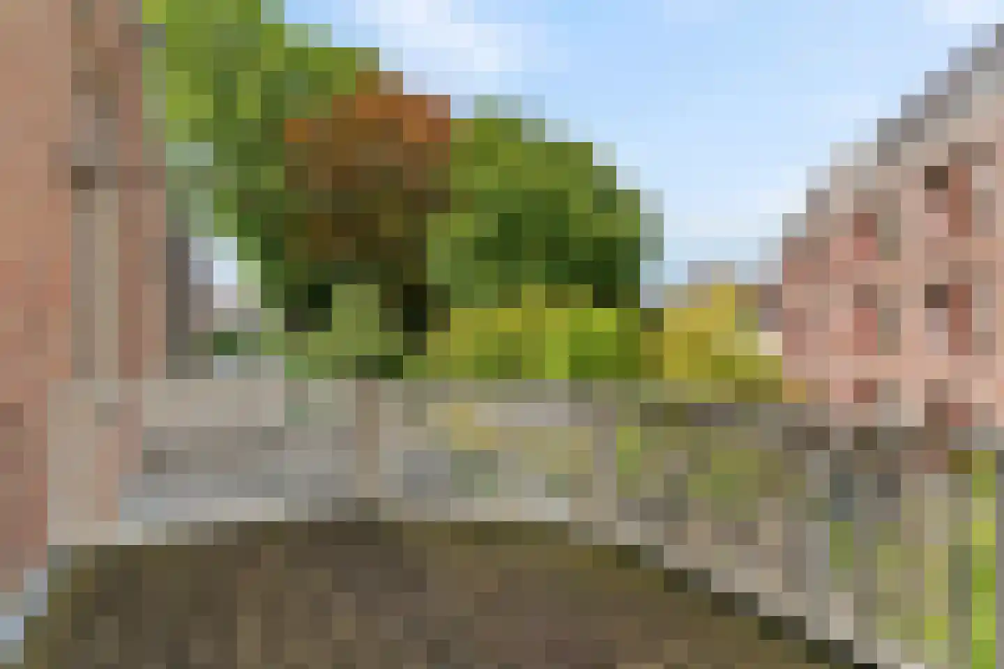 Jan van Goyenkade 14 Leiden thumbnail 51