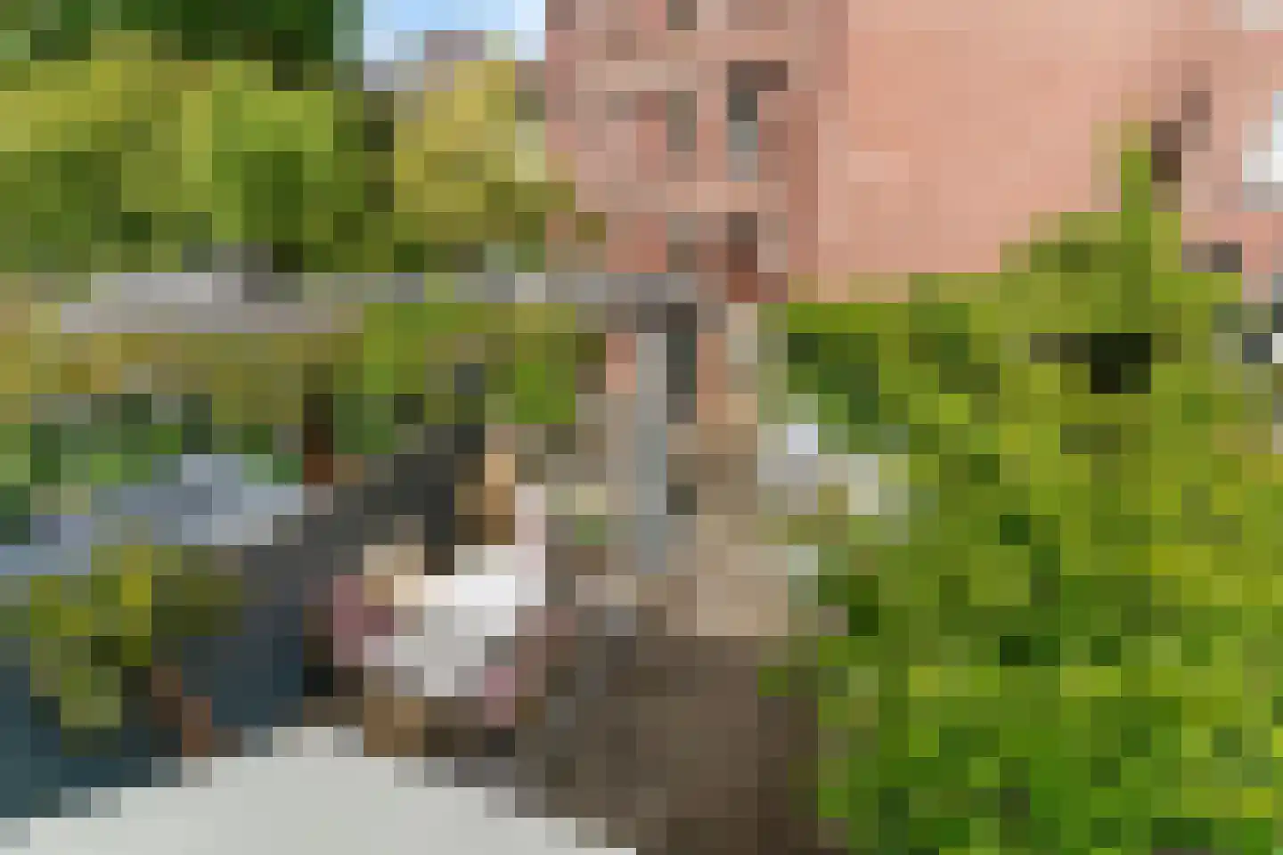 Jan van Goyenkade 14 Leiden thumbnail 52