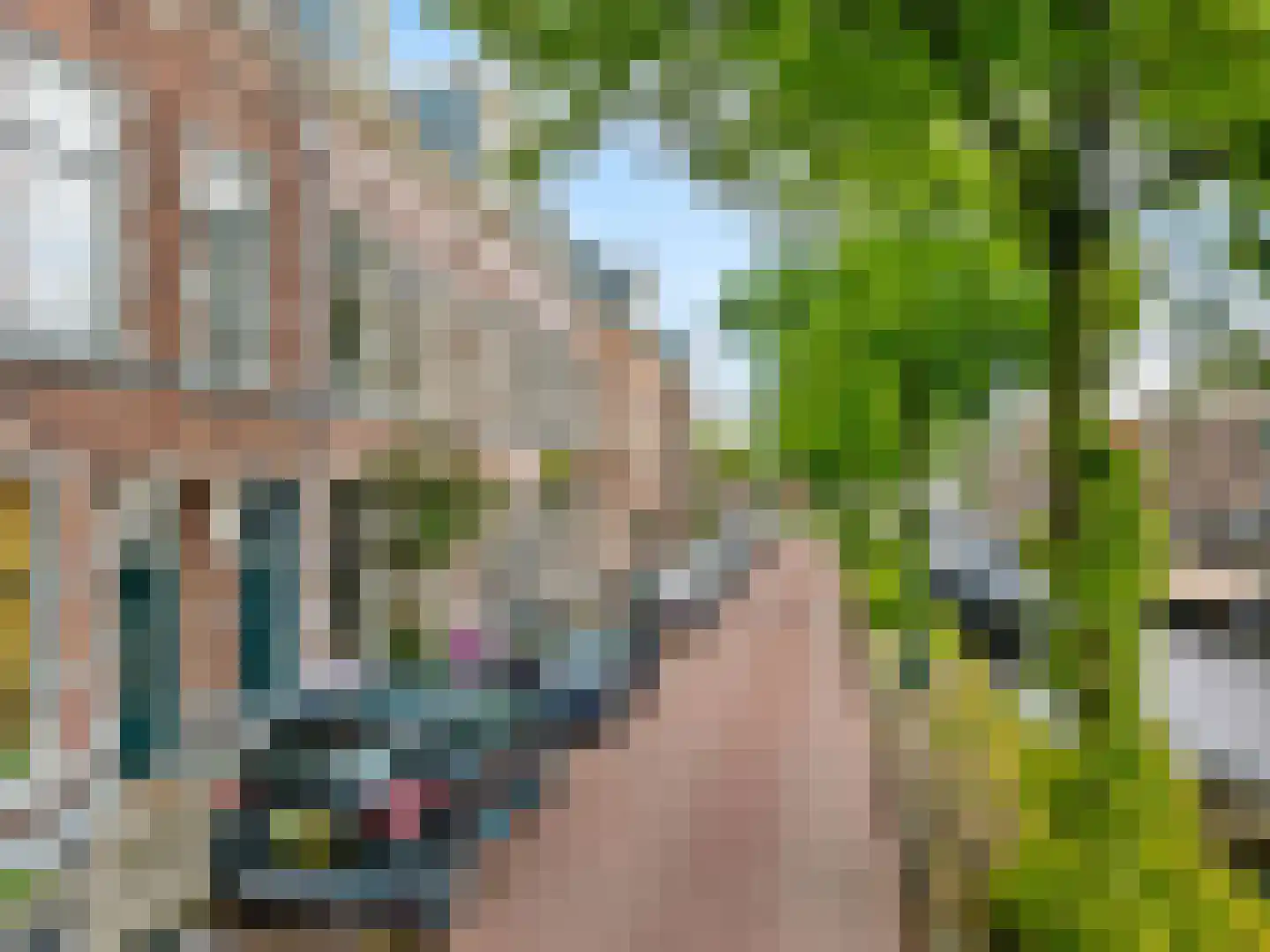 Jan van Goyenkade 14 Leiden thumbnail 57