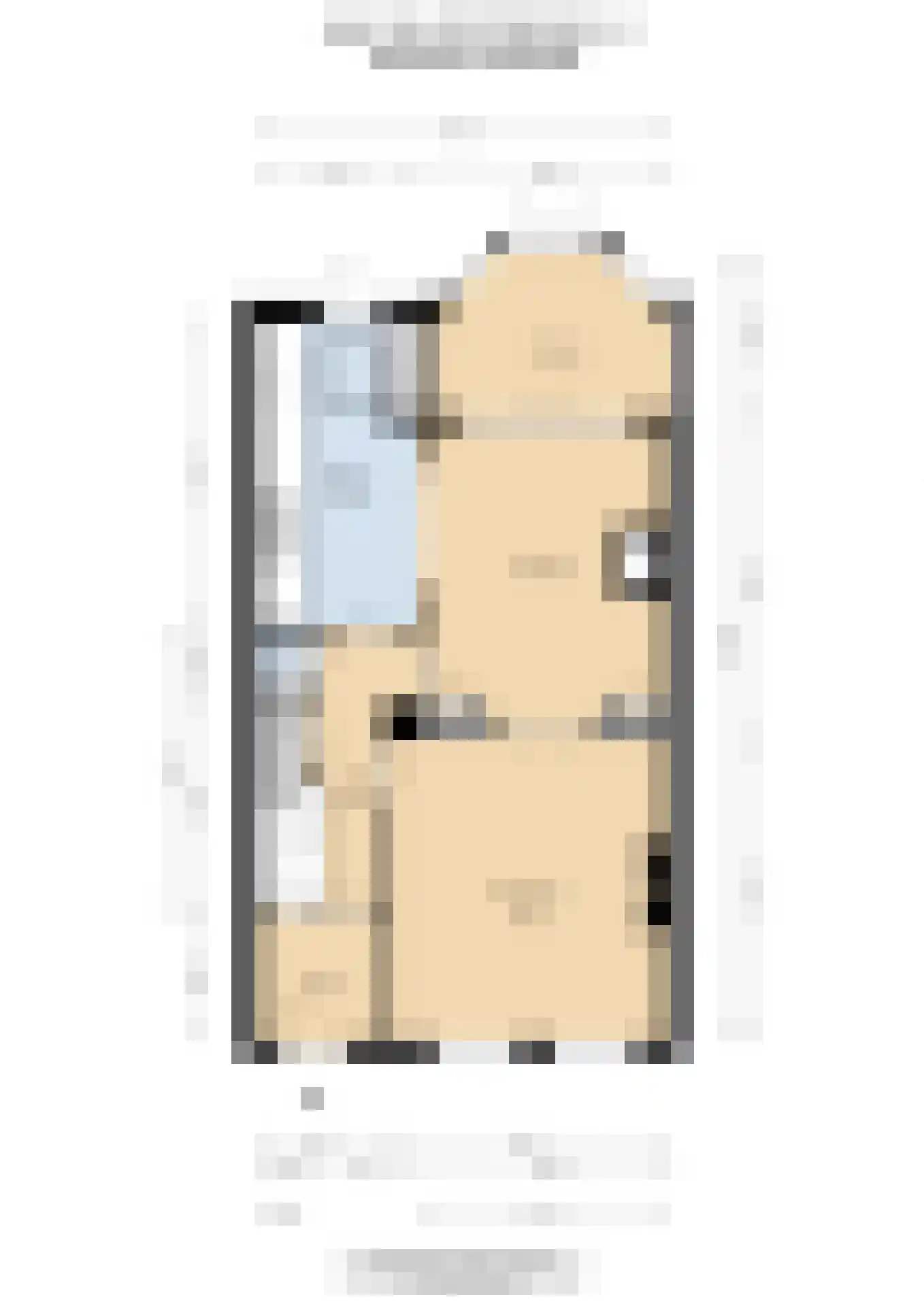 Jan van Goyenkade 14 Leiden thumbnail 59