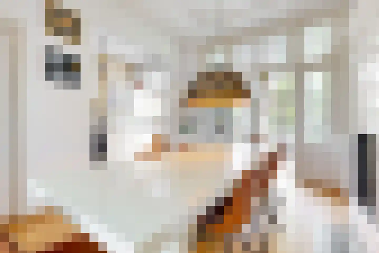 Jan van Goyenkade 14 Leiden thumbnail 9