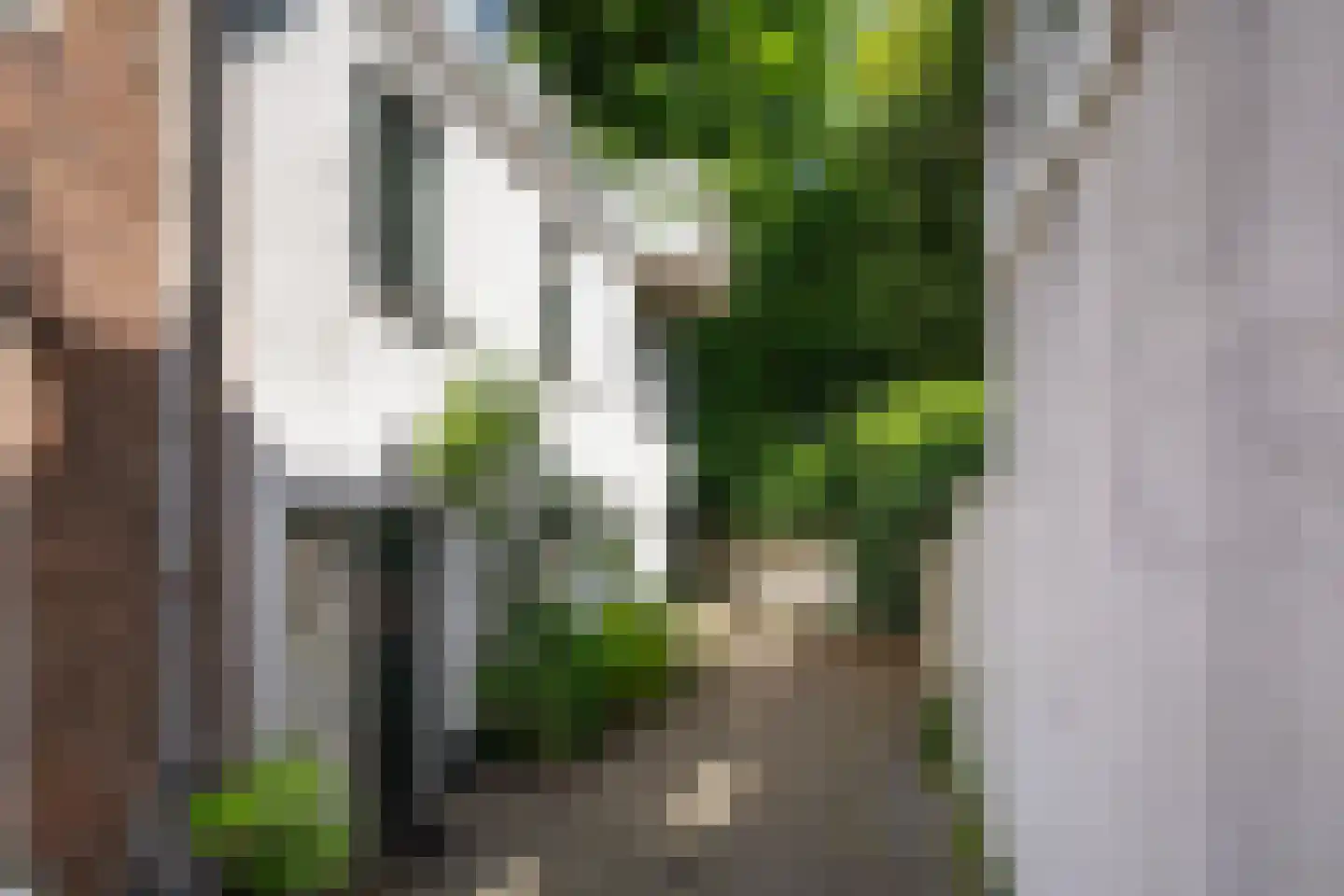 Jan van Goyenkade 20 D Leiden