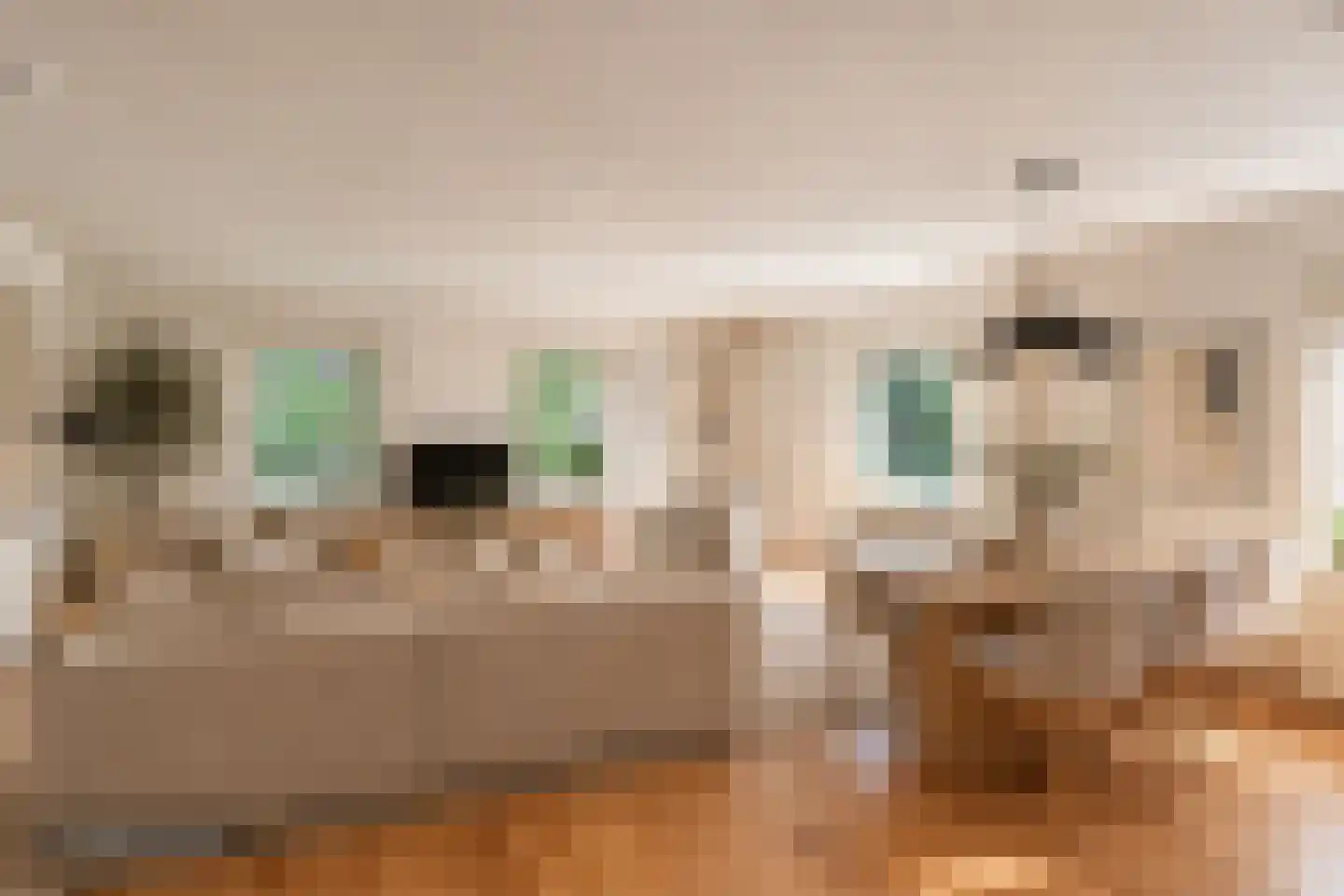 Jan van Goyenkade 20 D Leiden thumbnail 12