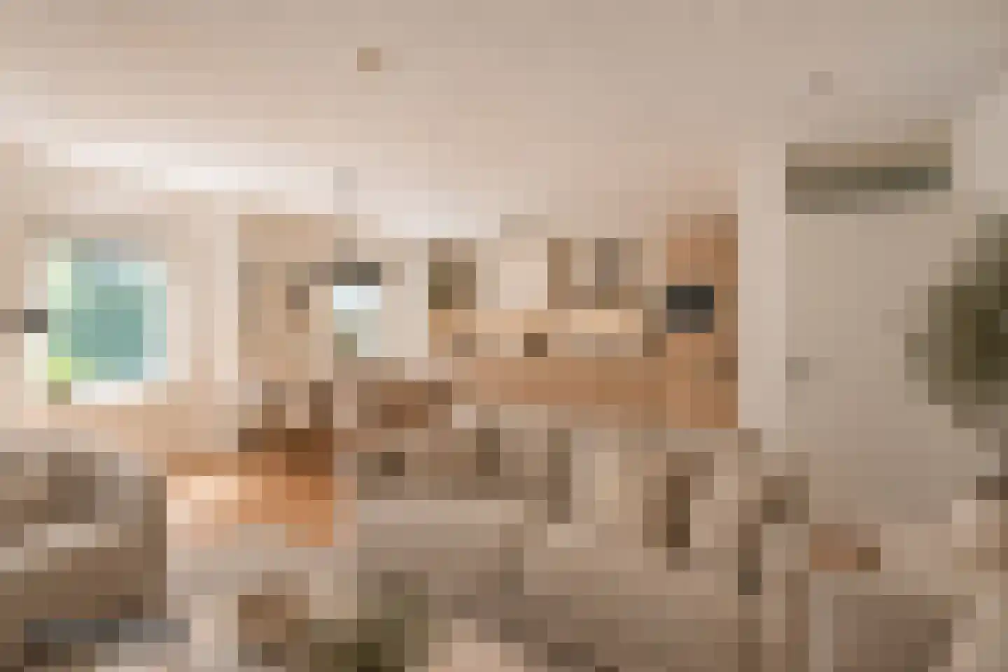 Jan van Goyenkade 20 D Leiden thumbnail 15