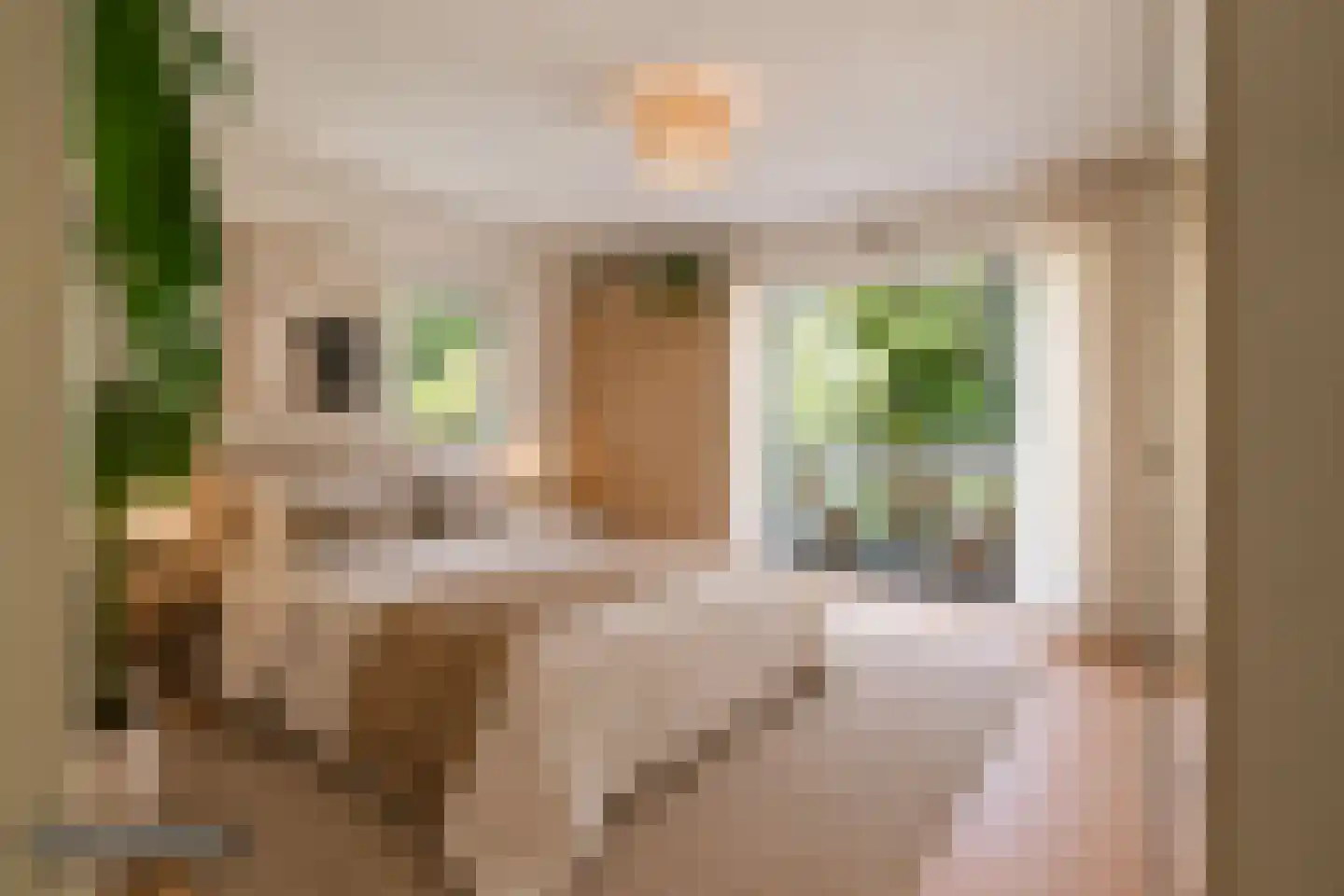 Jan van Goyenkade 20 D Leiden thumbnail 21