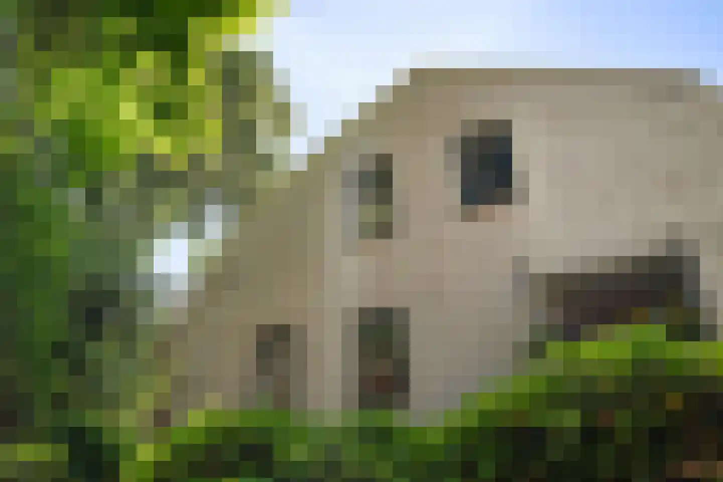 Jan van Goyenkade 20 D Leiden thumbnail 30